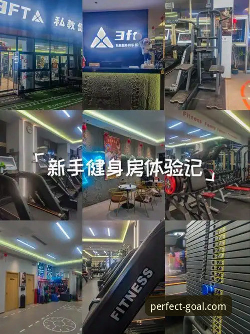 资深用户揭秘完美体育官方网站真实体验：一站式体育娱乐平台值得信赖吗？